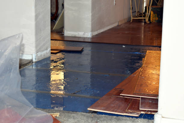 Professional Flood Cleanup technician working in Plainville, MA