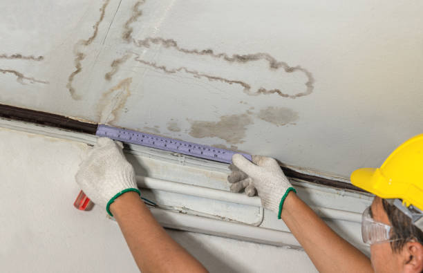 Reliable Flood Cleanup contractor in Plainville, MA by Water Damage Irwin